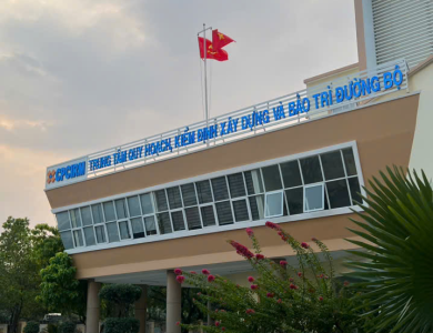 Hồ sơ năng lực và Cơ cấu tổ chức